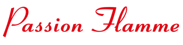 logo (1)